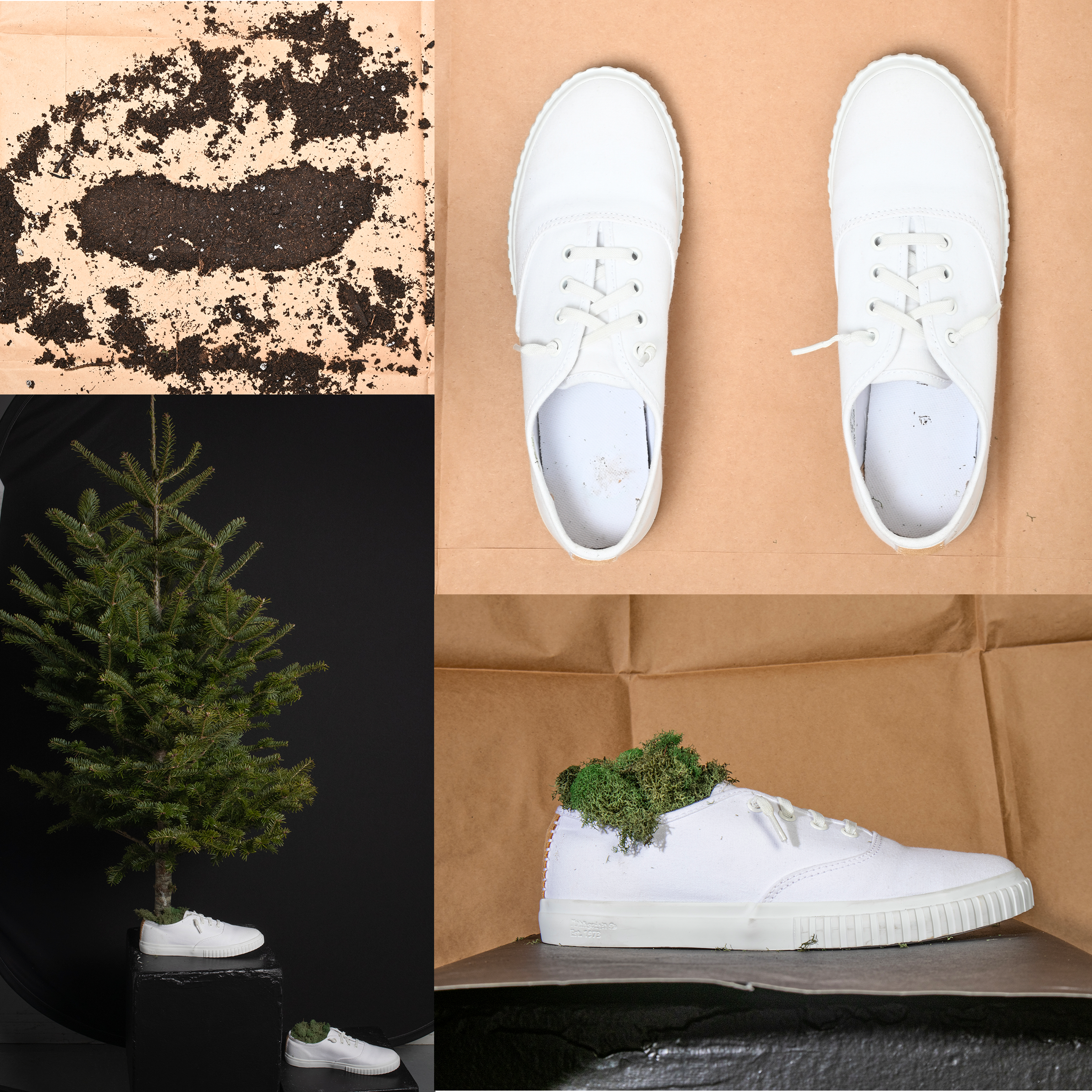 photo collage of white sneakers , a tree and dirt footprint